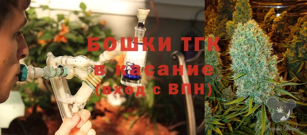 дживик Балахна